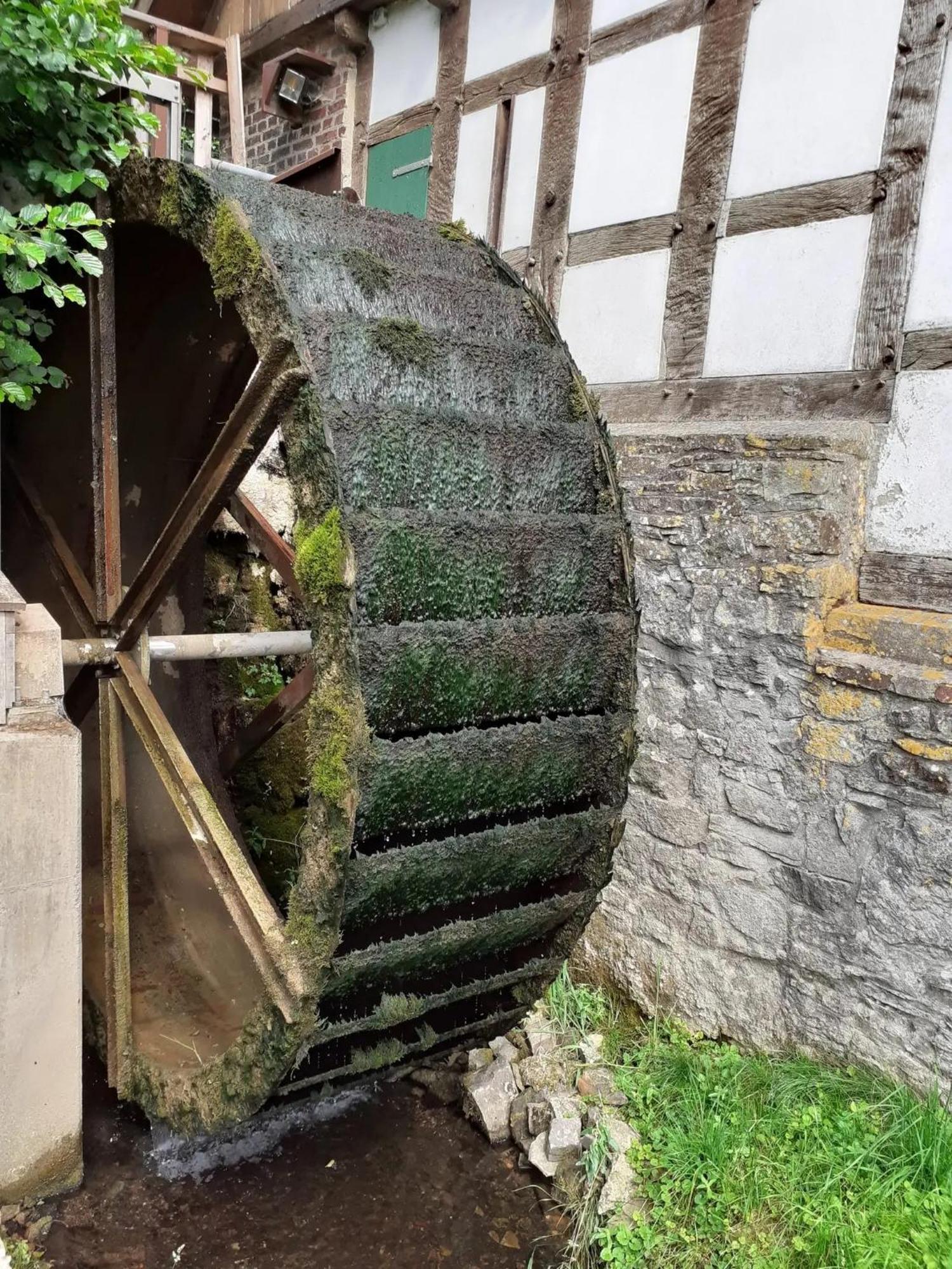 In Der Wassermuehle Melle Kültér fotó