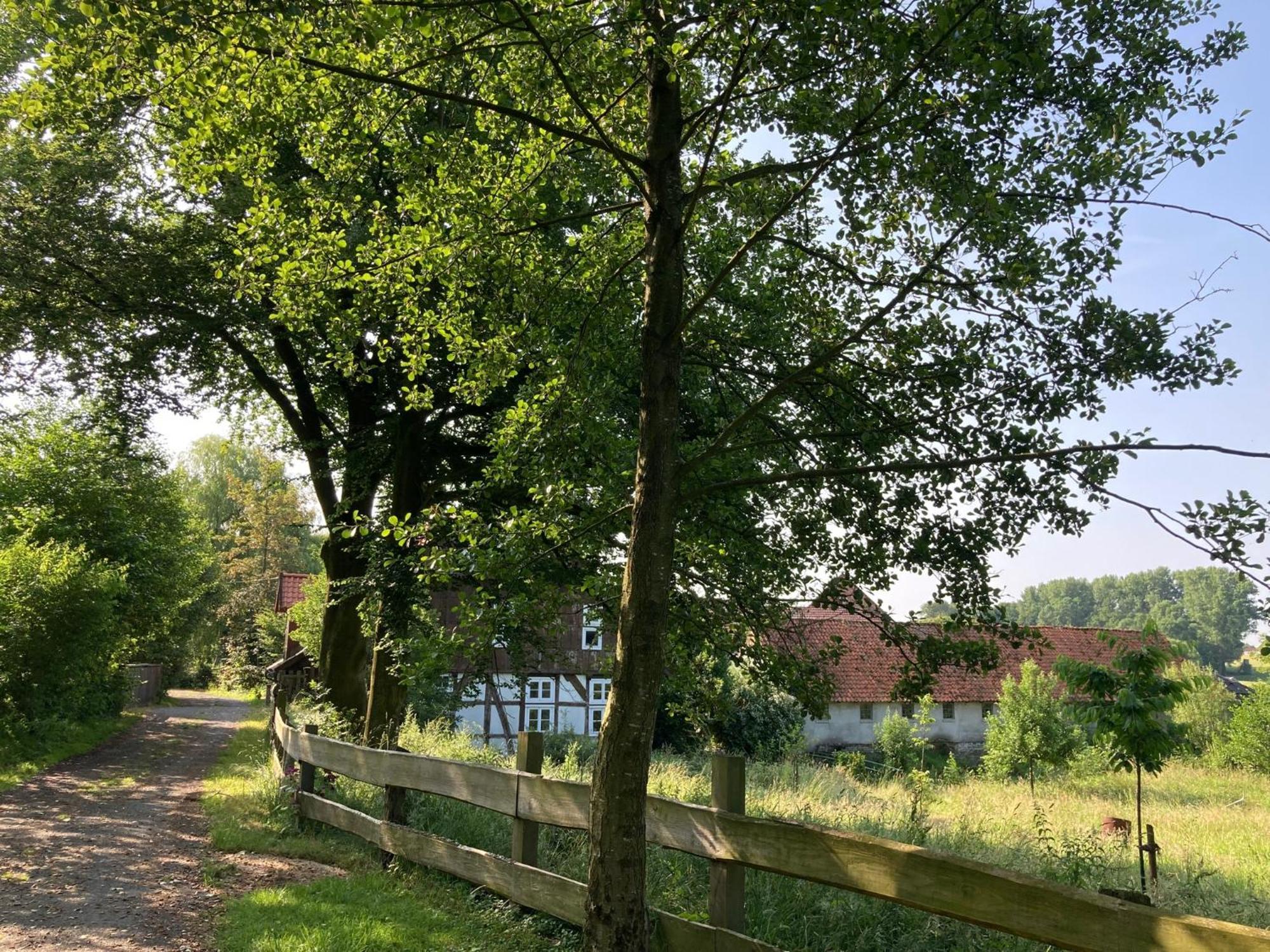 In Der Wassermuehle Melle Kültér fotó