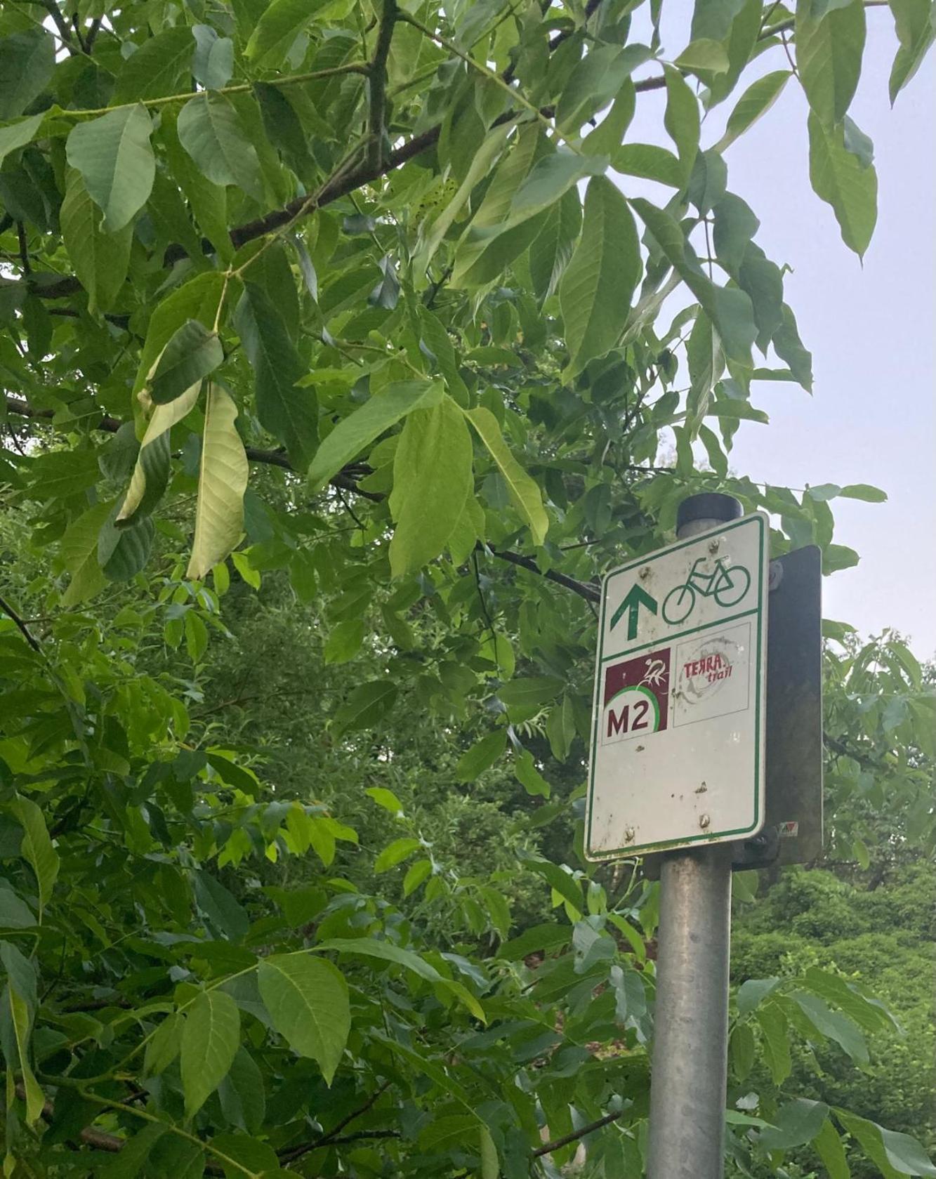 In Der Wassermuehle Melle Kültér fotó