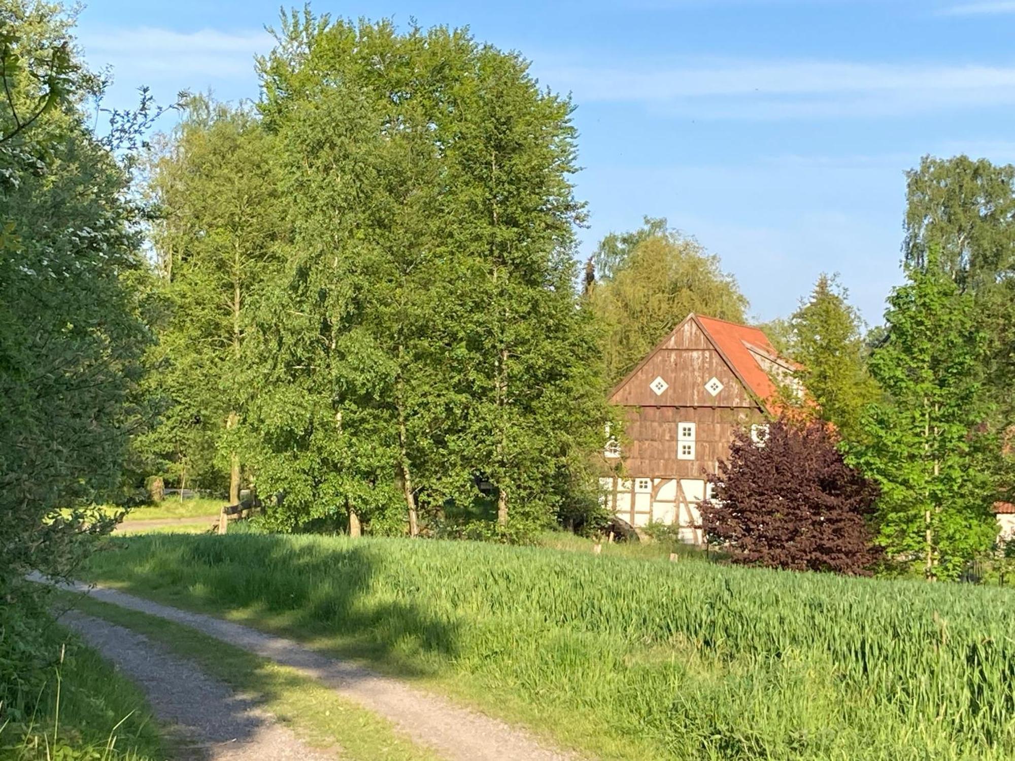 In Der Wassermuehle Melle Kültér fotó